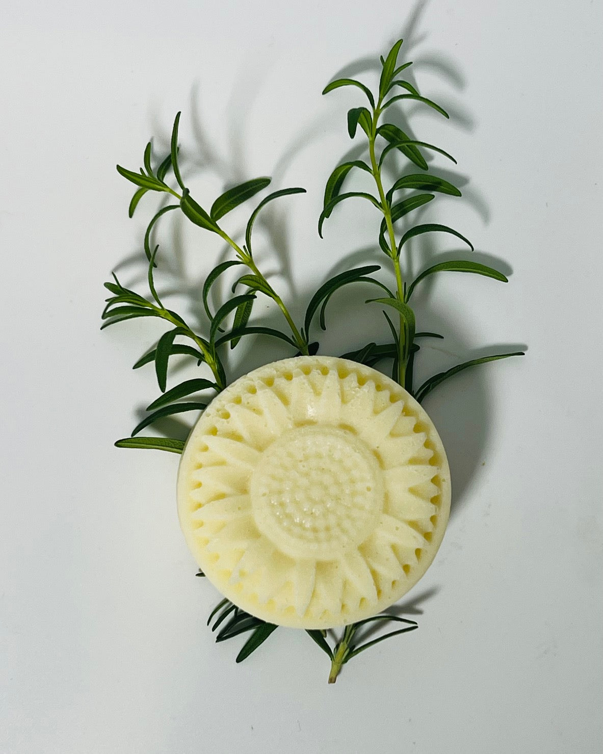 Shampoo Bar